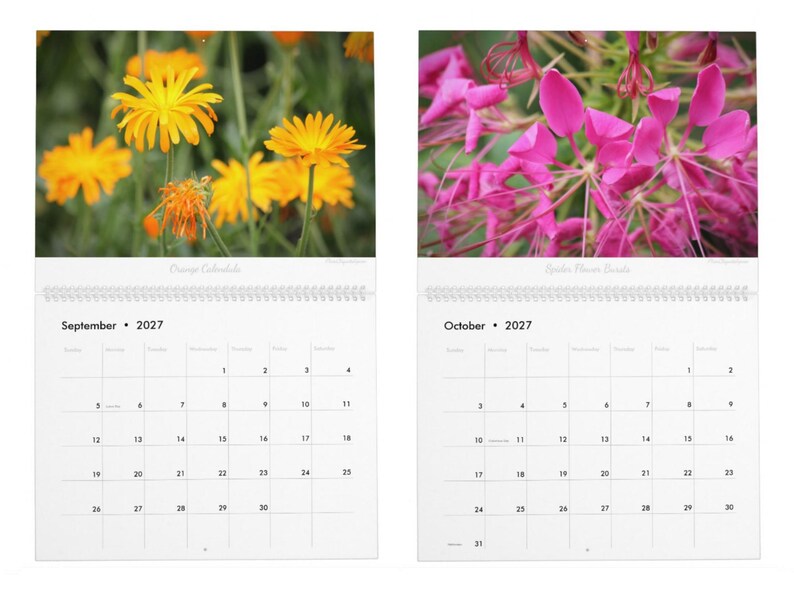 Floral Flourish • 2027 Monthly Wall Calendar • Wall Art • Intimate Portraits of Flowers • Floral Nature • Fine Art Photography image 6