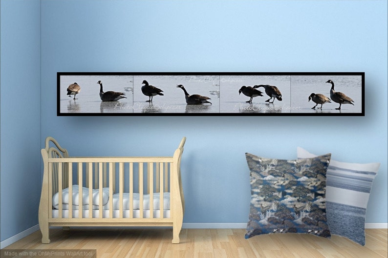 Fine Art Photography • Panoramic Wall Art • Mates for Life • Multi-Image Panel of Pair of Canada Geese • Winter Nature • High Res Print image 4
