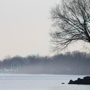 May include: A silhouette of a bare tree with branches reaching towards a misty, gray sky. The tree stands on a rocky shore with a body of water in the background.
