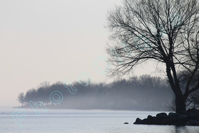 May include: A silhouette of a bare tree with branches reaching towards a misty, gray sky. The tree stands on a rocky shore with a body of water in the background.