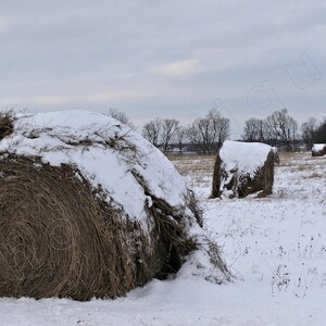 Fine Art Photography • Frosted Hay • Introspective Scene of Snow-Dusted Bales of Hay • Winter Landscape • High Res Print