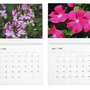 Floral Flourish • 2027 Monthly Wall Calendar • Wall Art • Intimate Portraits of Flowers • Floral Nature • Fine Art Photography image 3