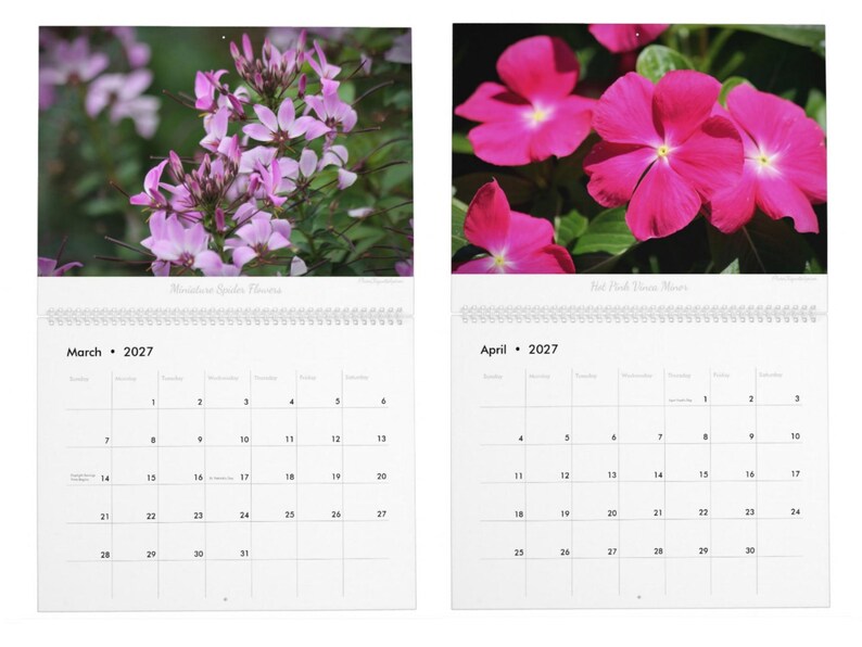 Floral Flourish • 2027 Monthly Wall Calendar • Wall Art • Intimate Portraits of Flowers • Floral Nature • Fine Art Photography image 3