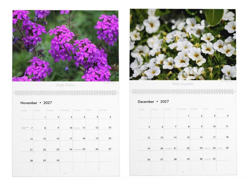Floral Flourish • 2027 Monthly Wall Calendar • Wall Art • Intimate Portraits of Flowers • Floral Nature • Fine Art Photography image 7
