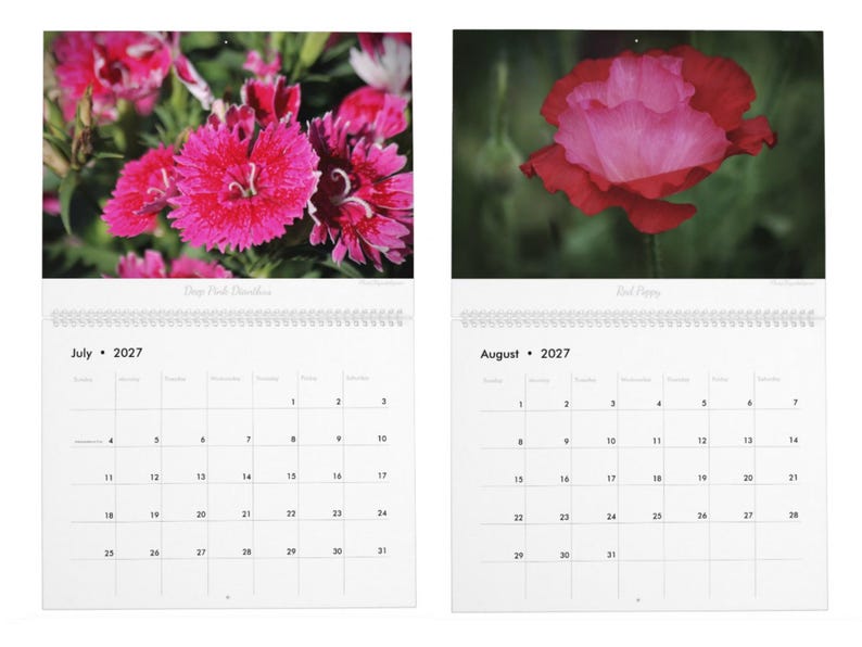 Floral Flourish • 2027 Monthly Wall Calendar • Wall Art • Intimate Portraits of Flowers • Floral Nature • Fine Art Photography image 5