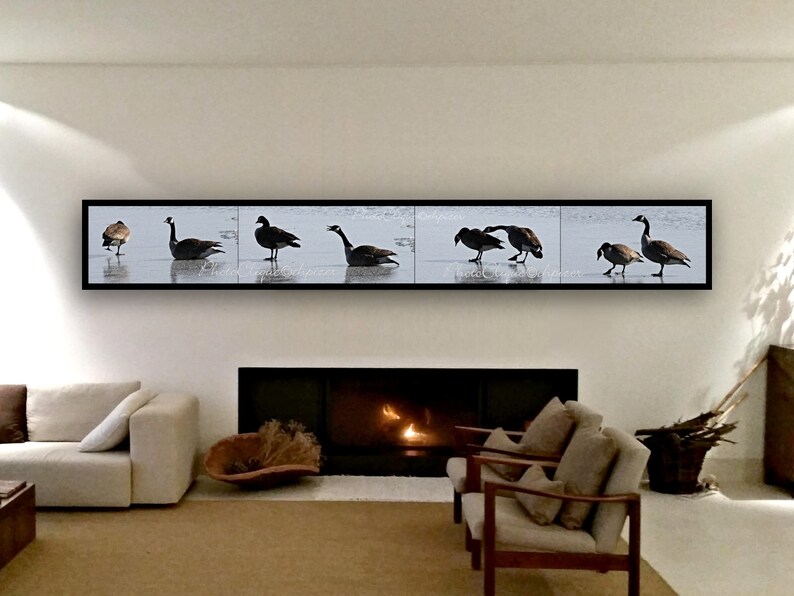 Fine Art Photography • Panoramic Wall Art • Mates for Life • Multi-Image Panel of Pair of Canada Geese • Winter Nature • High Res Print image 5