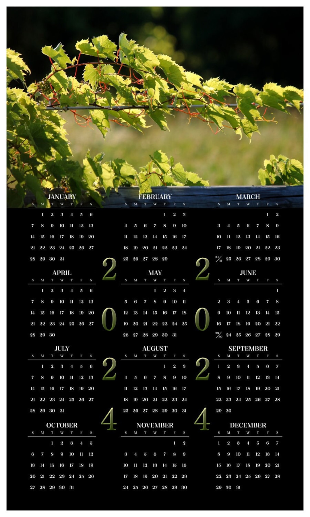 Grapevine's Embrace 2024 Year at a Glance Wall Calendar Yearly Calendar