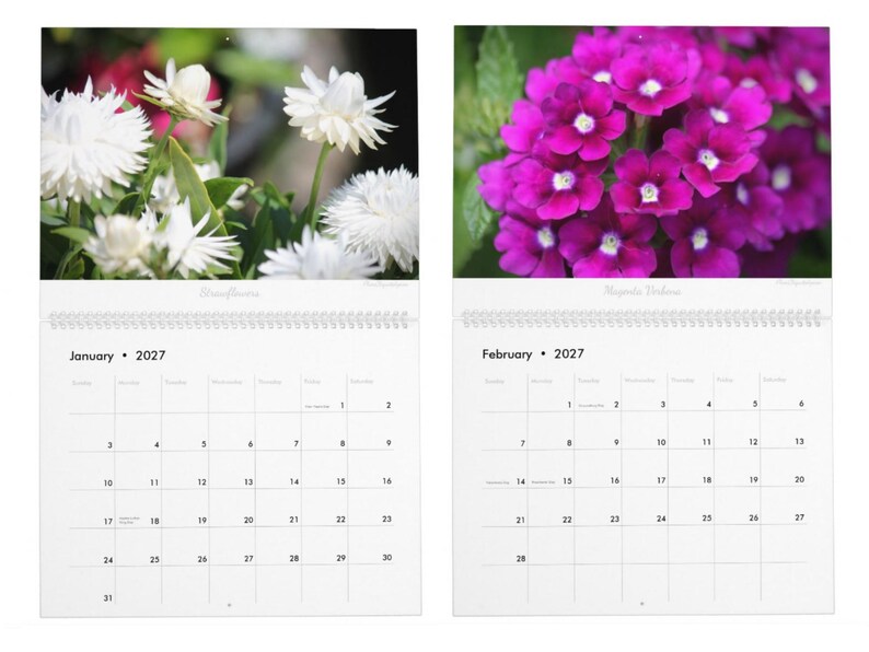 Floral Flourish • 2027 Monthly Wall Calendar • Wall Art • Intimate Portraits of Flowers • Floral Nature • Fine Art Photography image 2
