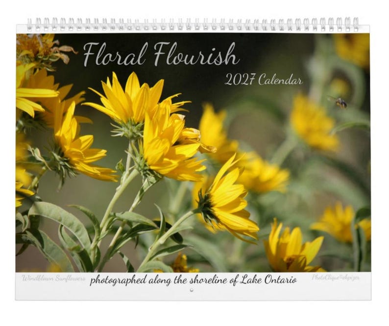 Floral Flourish • 2027 Monthly Wall Calendar • Wall Art • Intimate Portraits of Flowers • Floral Nature • Fine Art Photography image 1