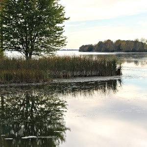 May include: A single tree with green leaves stands on a small island in a still lake. The water reflects the sky and the tree, creating a mirror image.