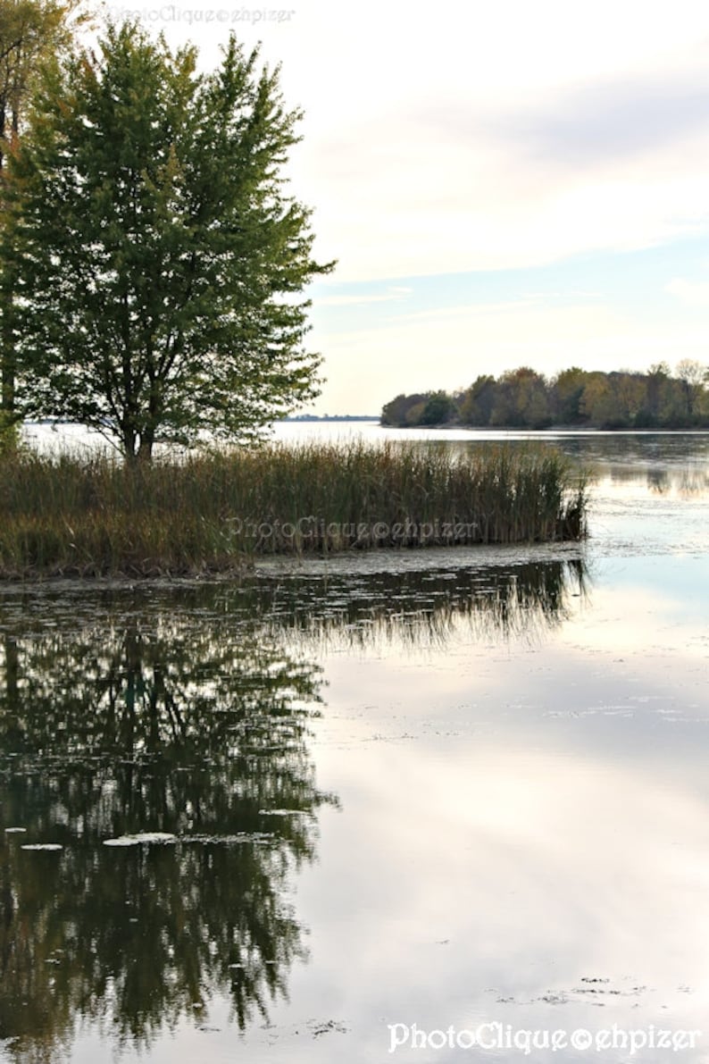 May include: A single tree with green leaves stands on a small island in a still lake. The water reflects the sky and the tree, creating a mirror image.