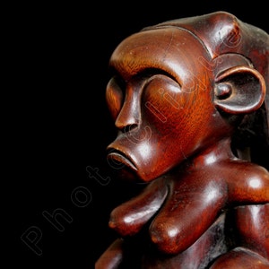 African Art • Fine Art Photography • Ethnographic Art Image Series • Portrait of Fang Byeri Reliquary Figure • Tribal Art • High Res Print