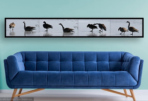 Fine Art Photography • Panoramic Wall Art • Mates for Life • Multi-Image Panel of Pair of Canada Geese • Winter Nature • High Res Print
