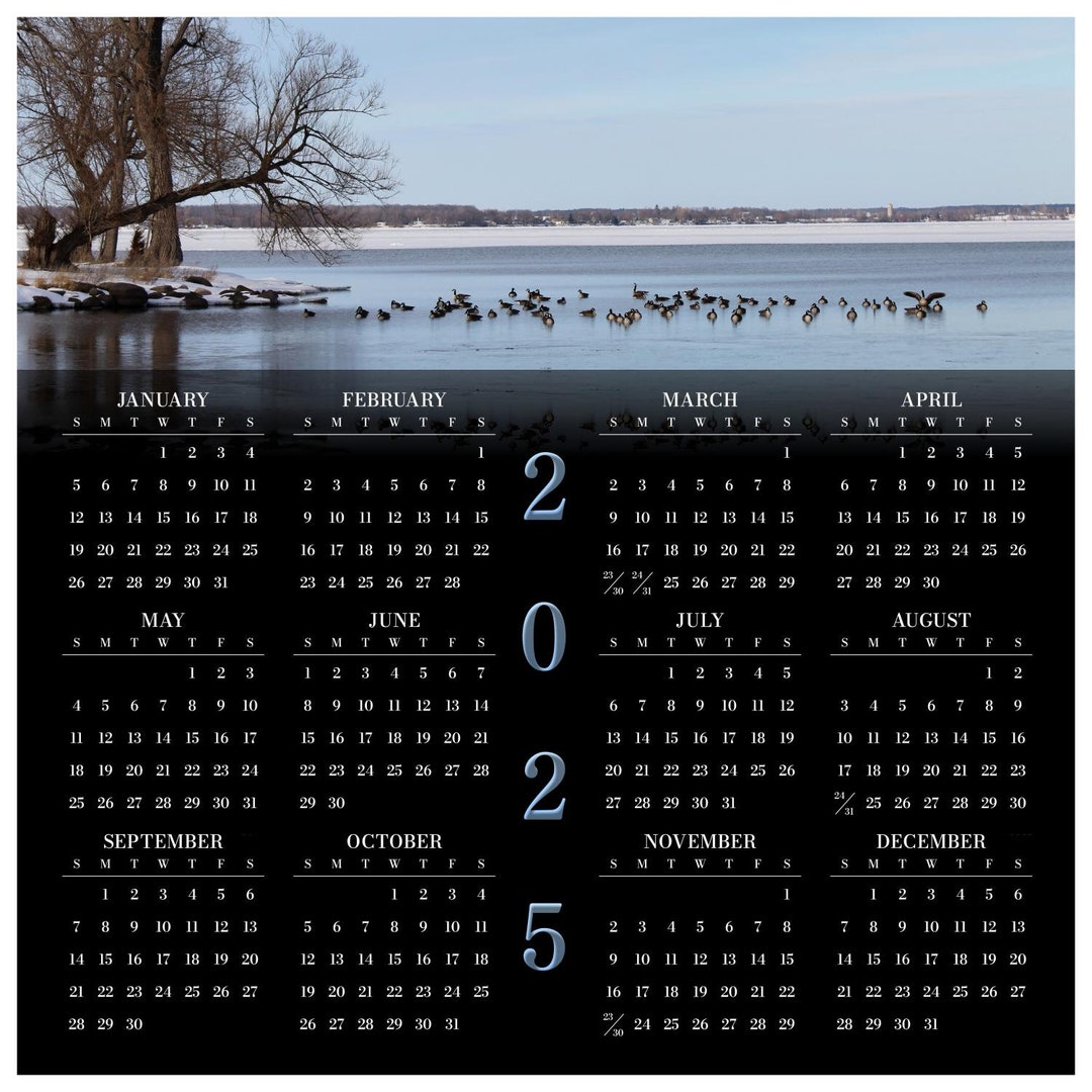 Jetty of Geese 2025 Year at a Glance Calendar Yearly Calendar Size 16.5x16.5 Semigloss Poster