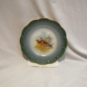 Antique Limoges Porcelain Bird Plate: French Cottage Decor
