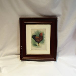 May include: A framed print of a rooster with brown and red feathers standing on a green background. The frame is dark brown wood.
