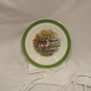 May include: A white ceramic plate with a green rim and a gold accent. The plate features a painted image of two deer in a forest setting.
