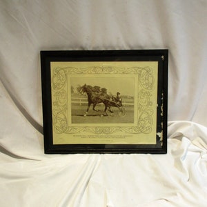 1920s Horse Racing Photo: &quot;The Senator&quot; Framed Vintage Art