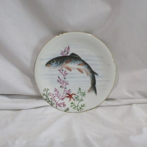 Vintage Limoges Fish Plate: French Hand-Painted Porcelain Decor