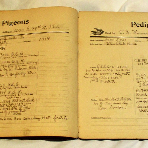 1919 shops Homing Pigeon Racing Antique Ledger, Old Pigeon Breeding Book, Early Twentieth Century Outdoors Sporting and Bird Ledger
