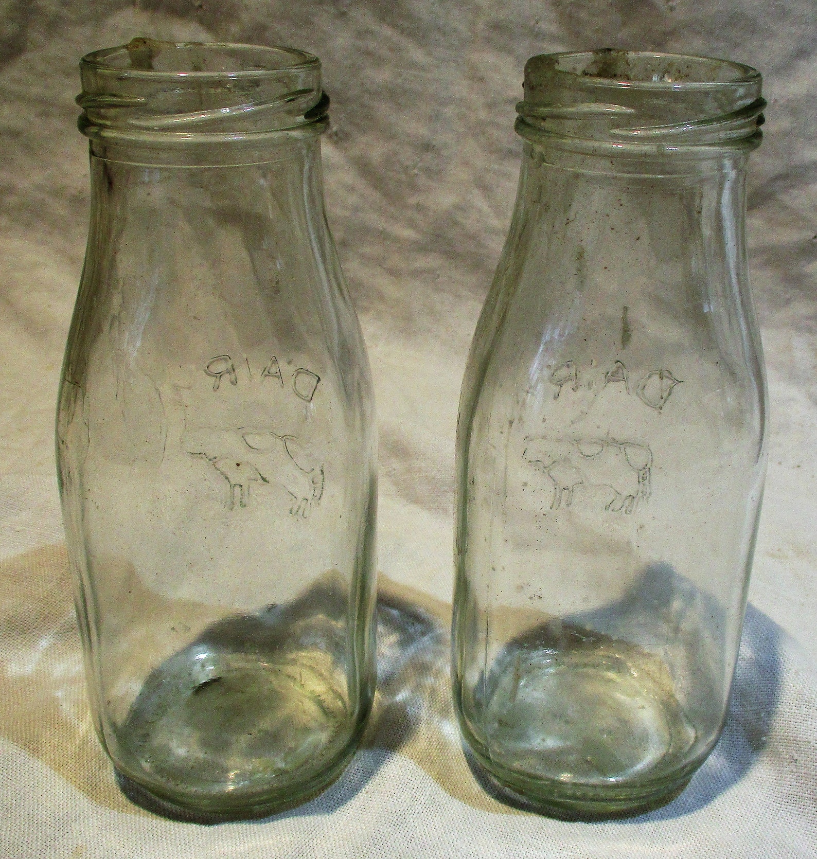 Dairy Bottles Embossed Cow Milk Bottles Vintage Glass Farm Etsy