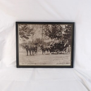 1893 Black & White Horse and Wagon Portrait, Hollywood Old Monmouth Park, New Jersey, Framed 19th Century Equine Equestrian Photograph