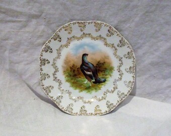 Decorative Bird Plate, Antique Bavarian Plate, Old German Porcelain, Painted Game Birds, Camp or Cottage Decor