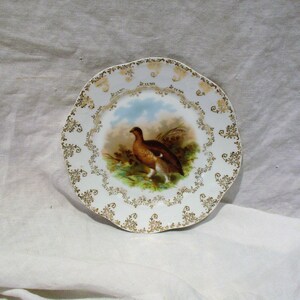 Decorative Bird Plate, Antique Bavarian Plate, Old German Porcelain, Painted Game Birds, Camp or Cottage Decor