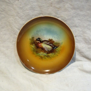 Decorative Bird Plate, Antique Bavarian Plate, Old German Porcelain, Painted Game Birds, Camp or Cottage Decor