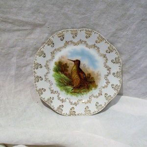 Decorative Bird Plate, Antique Bavarian Plate, Old German Porcelain, Painted Game Birds, Camp or Cottage Decor