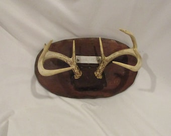 Vintage 8-Point Deer Antler Mount: Rustic Wood Shield Decor