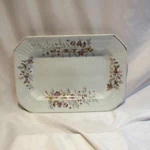 Small Porcelain Platter, 19th Century English Wood & Son Transferware Decorated Ironstone, Wildflowers Pattern