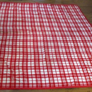 May include: Red and white checkered picnic blanket with a red border.