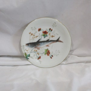 Vintage Limoges Fish Plate: French Decorative Lunch Plate