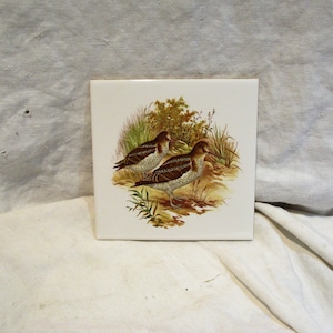 May include: A white ceramic tile with a brown and white illustration of two birds in a grassy field.
