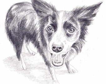 Custom Pet Portrait from Photo | Hand-Drawn Animal Art