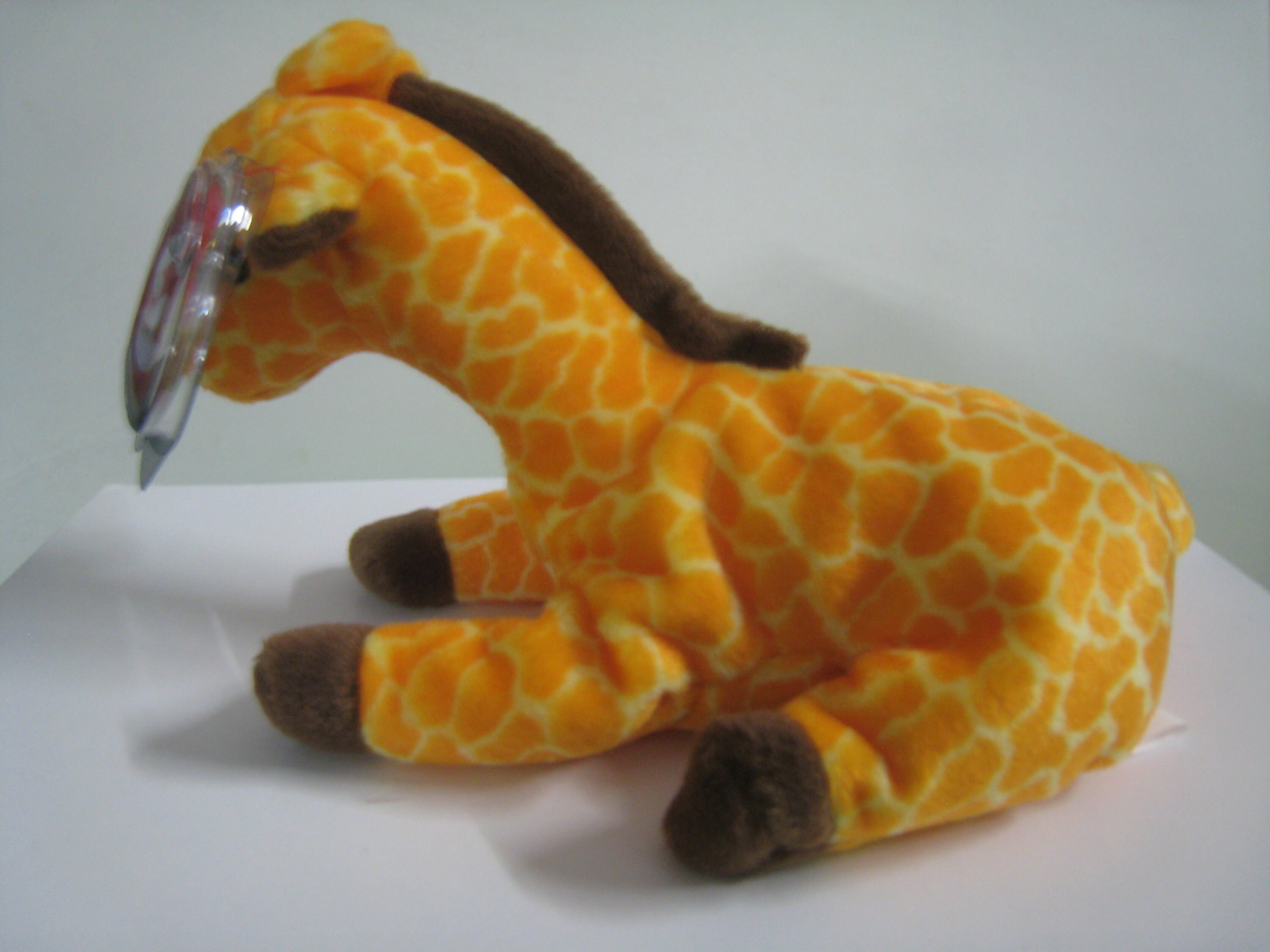 New TY Beanie Babies Zeus the Moose, Teddy, Trumpet, Old Faced Teddy