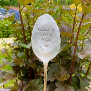 Op de afbeelding: Een zilveren lepelsteker voor in de tuin met de tekst "Grandad's Veggie Patch" gegraveerd op de voorkant. De lepel is omringd door groen gebladerte.