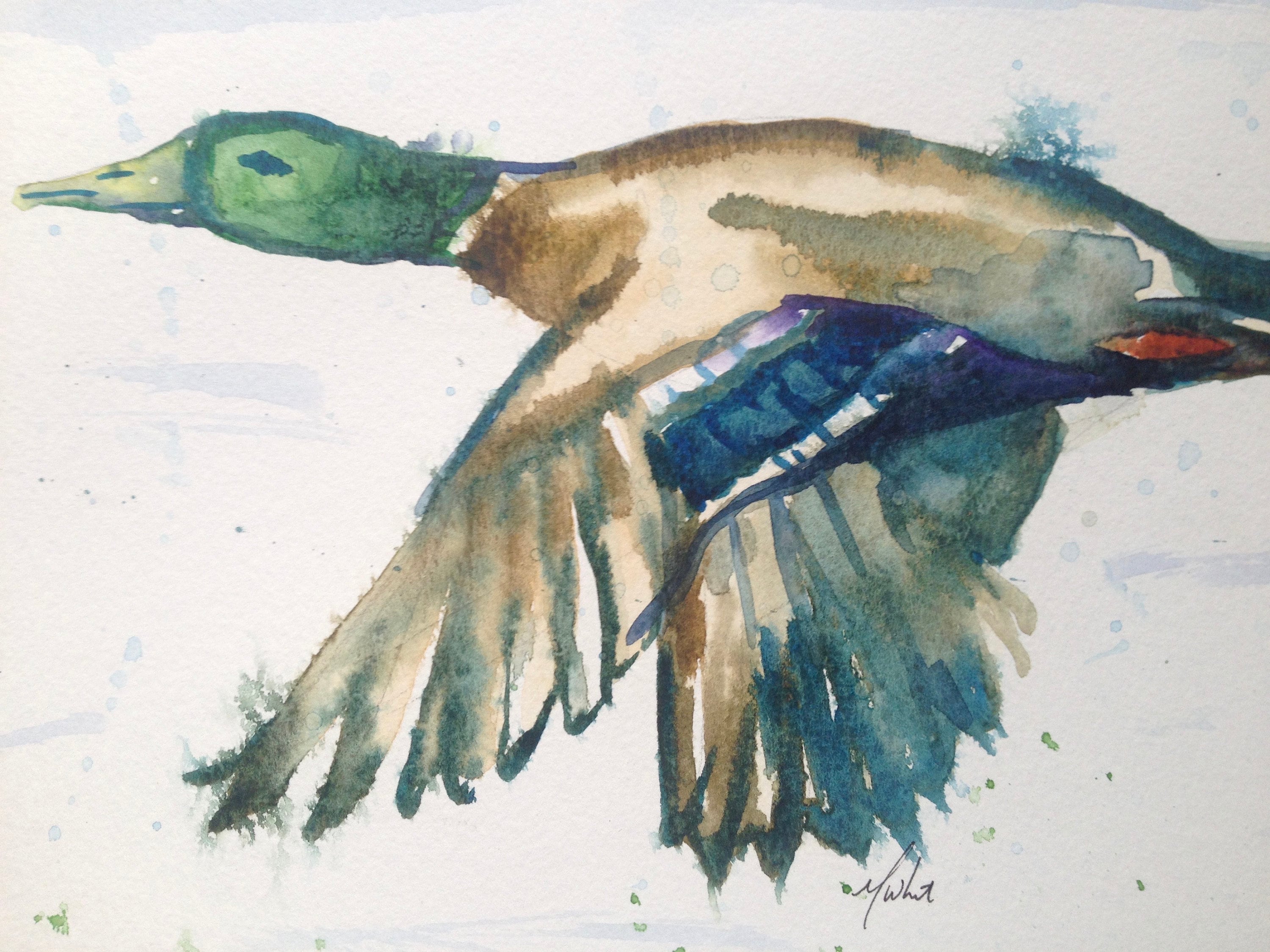 Mallard Duck in Flight Watercolor Painting Original Artwork | Etsy