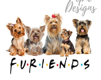 May include: Five Yorkshire Terrier dogs sitting in a row on a white background. The dogs are all looking at the camera. The text "F.U.R.I.E.N.D.S." is written below the dogs in black with colorful dots.