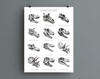 Dinosaur Skull Chart Print – Antique Paleontology Illustration, Prehistoric Science Wall Art, Fossil Anatomy Poster