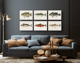 Vintage Fish Print Set of 6 • Rustic Marine Life Wall Art • Fishing Cabin Decor • Angler Gift - S2