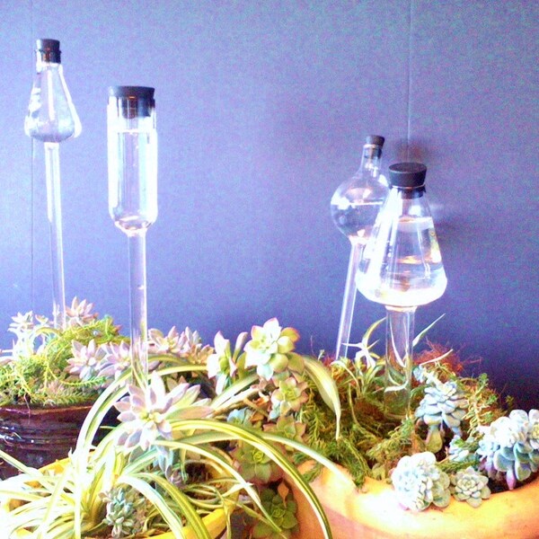 Watering Globes made from Genuine Chemistry Glassware: Large Erlenmeyer