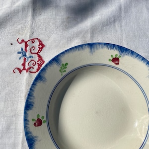 Beautiful vintage French plates by Gien in their Bagatelle design.
