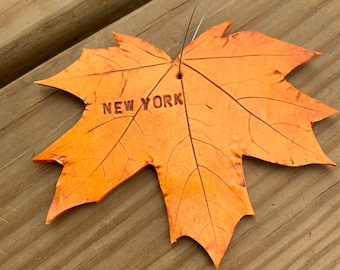 New York ornament, foliage ornament