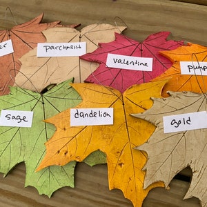 K&ouml;nnte beinhalten: Sieben Ahornblatt-Ornamente in verschiedenen Farben, darunter Kupfer, Pergament, Valentinstag, K&uuml;rbis, Salbei, L&ouml;wenzahn und Gold. Jedes Blatt hat ein handgeschriebenes Etikett mit seinem Farbnamen.