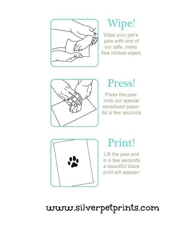 Paw Print Kit inkless Etsy
