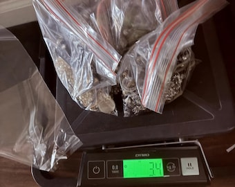 Huge Lot of 3.4 Lbs of Vintage to Modern Necklaces Wearable Untangled Quick Ship Bracelets Earrings Mixed Cookie Lee Chico’s Paparazzi
