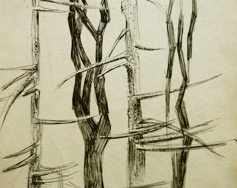 Dibujo original en tinta de árboles, boceto de naturaleza vintage, ilustración para colgar en la pared.