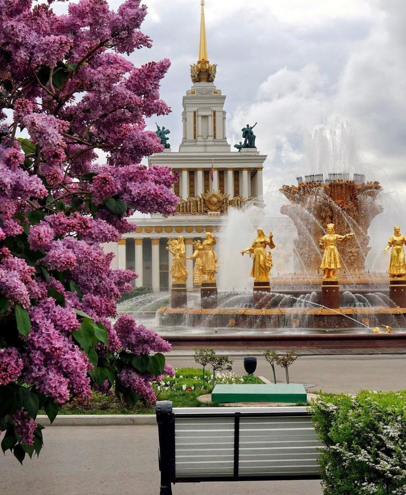 May include: A white building with a tall spire and a fountain in front of it. The fountain has multiple jets of water and golden statues. A purple lilac bush is in the foreground.